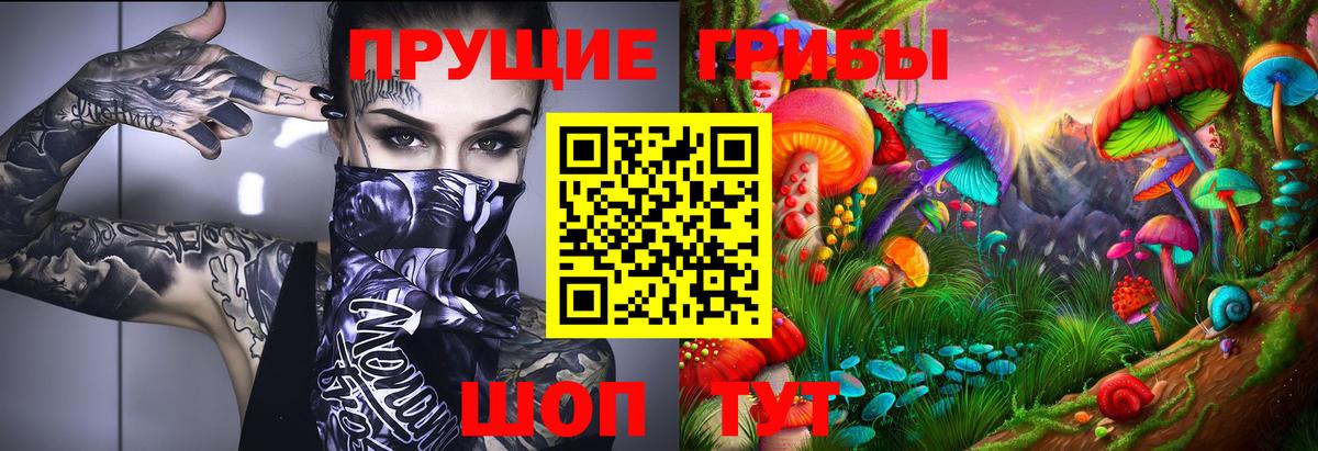 Артёмовский  Псилоцибиновые грибы прущие грибы  Вход с VPN  Псилоцибиновые грибы мицелий 